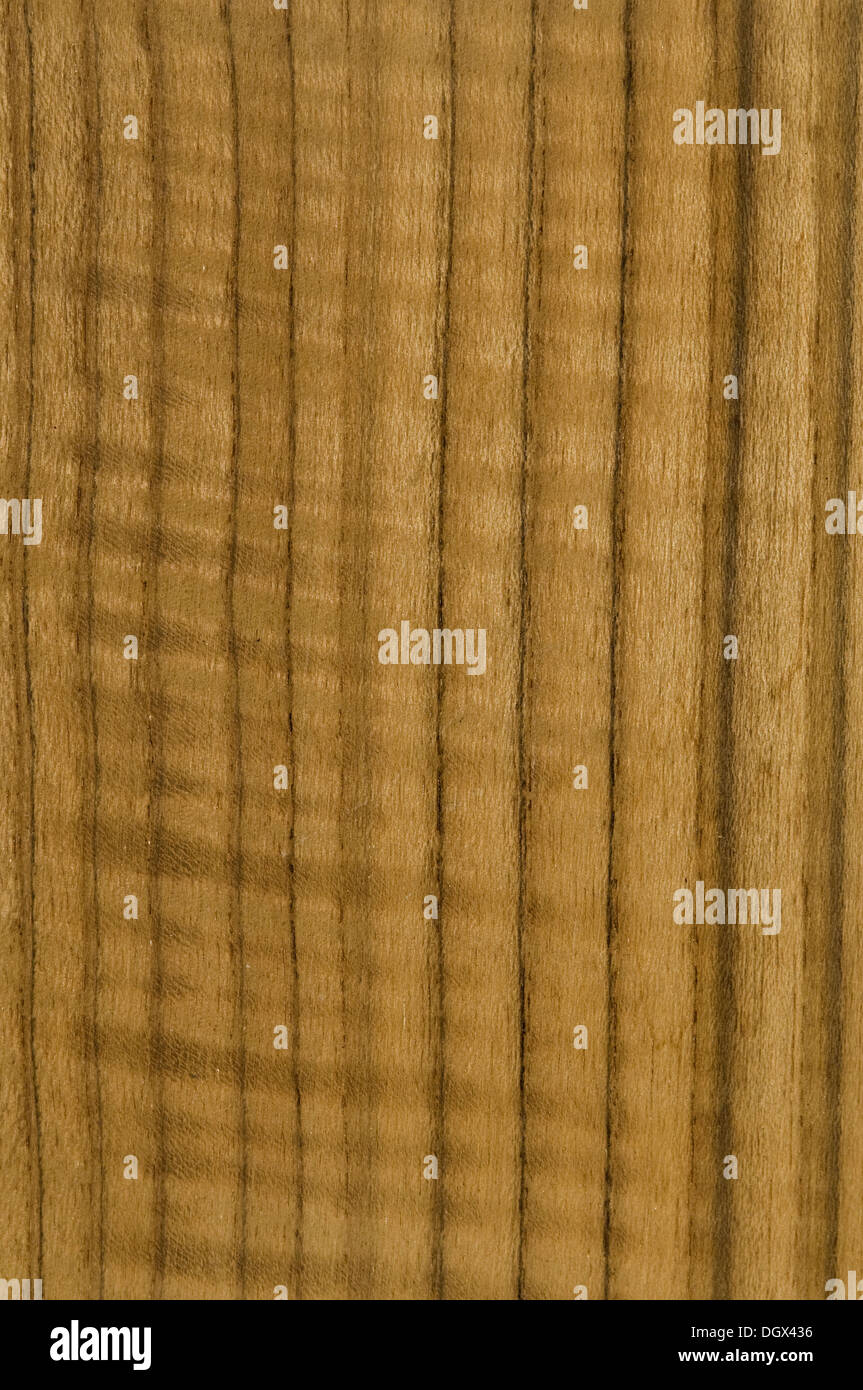 Strisce di legno di teak texture Foto Stock