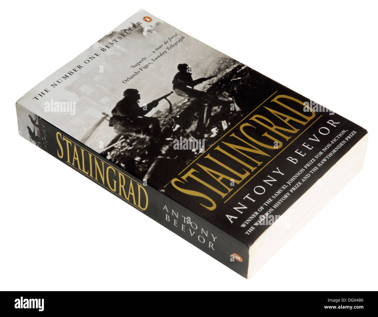 Stalingrad da Antony Beevor Foto Stock