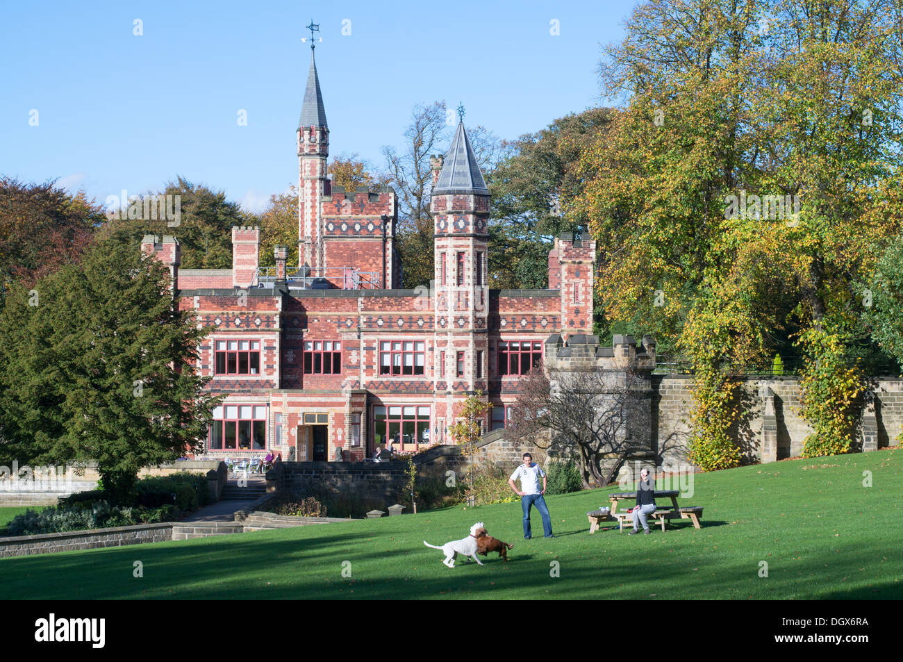 Cani giocando mentre i proprietari watch, Saltwell Towers, Saltwell Park, Gateshead, Inghilterra, UKu Foto Stock