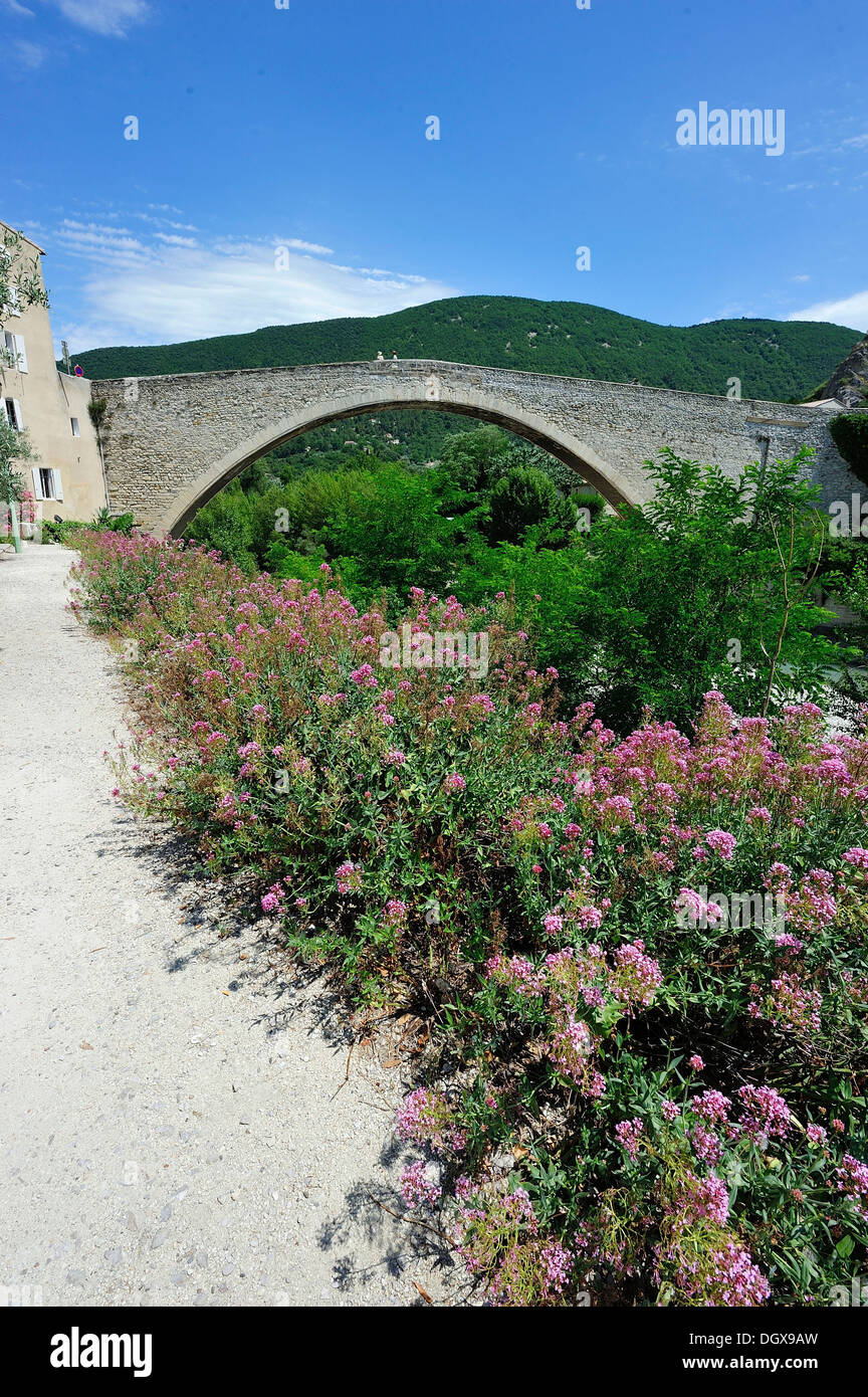 Pont de Nyons, ponte medievale sul fiume Eygues, arco 40.5m, Nyons, dipartimento Drôme, Regione Rhone-Alpes, Francia Foto Stock