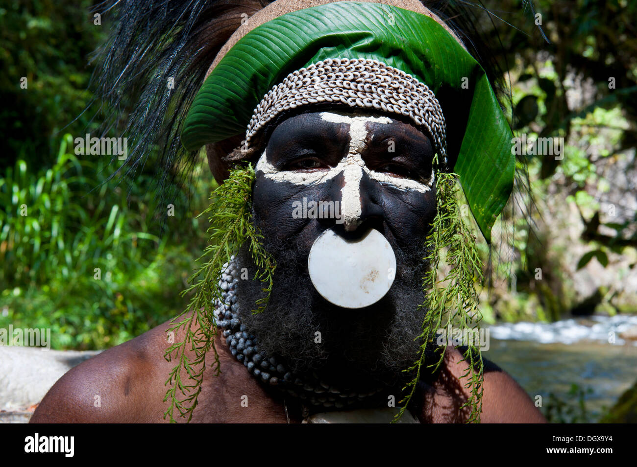 Decorate e dipinte capo tribù, Hochland, Paya Highland, Papua Nuova Guinea Foto Stock