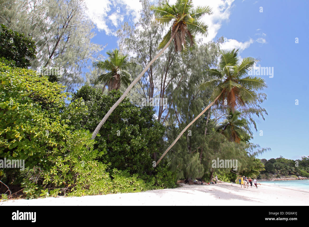 Una spiaggia tropicale sull'Isola di Praslin nelle Seychelles Foto Stock