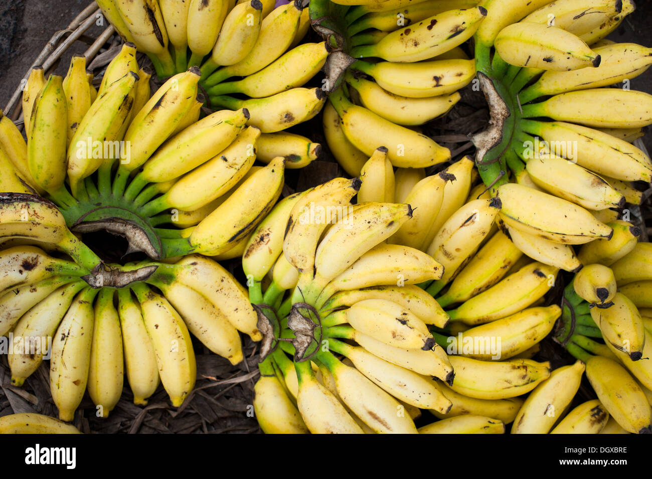 Frutti tropicali sfondo naturale. Le banane fresche al posto di mercato Foto Stock