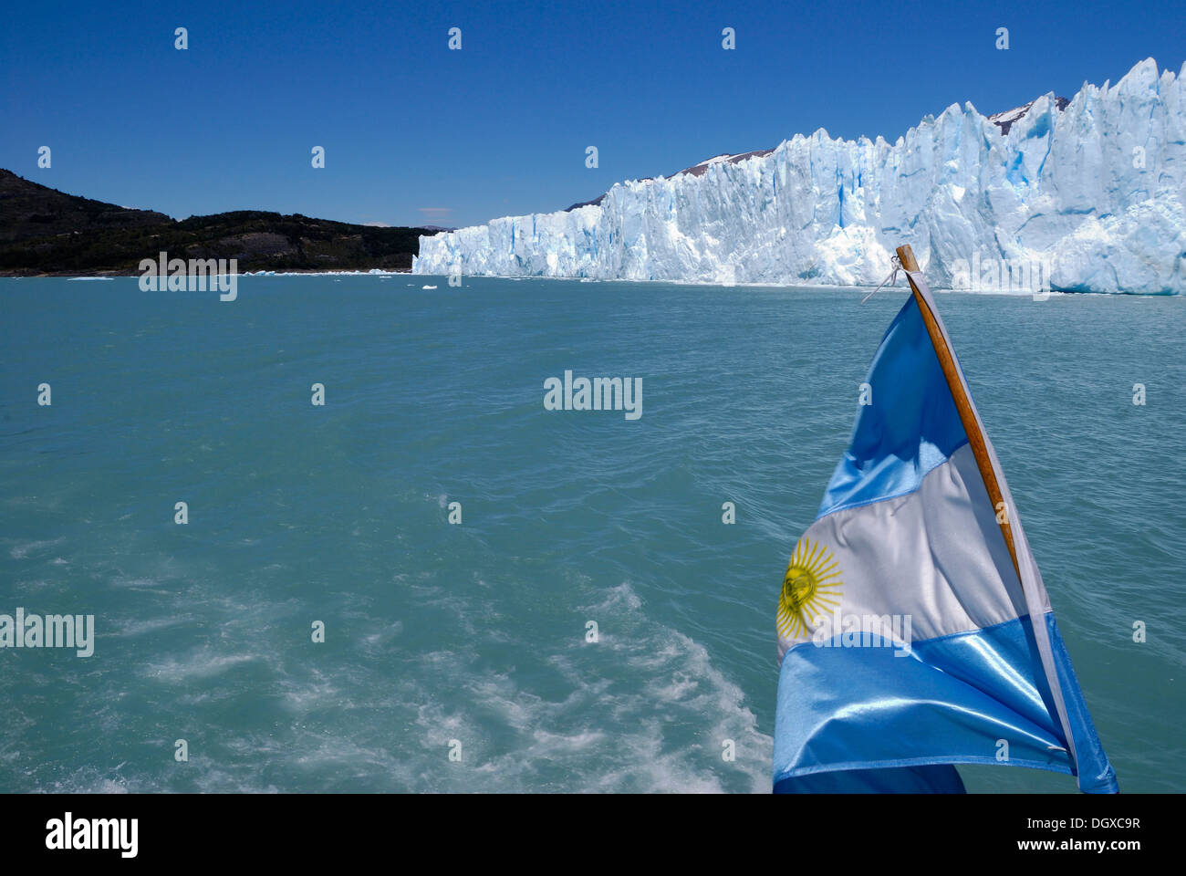 Ghiacciaio Perito Moreno, con una bandiera argentina, Patagonia, Argentina, Sud America Foto Stock