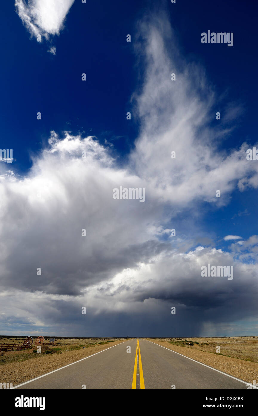 Strada con cielo drammatico, Monte Leon National Park, Rio Gallegos, Patagonia, Argentina, Sud America Foto Stock