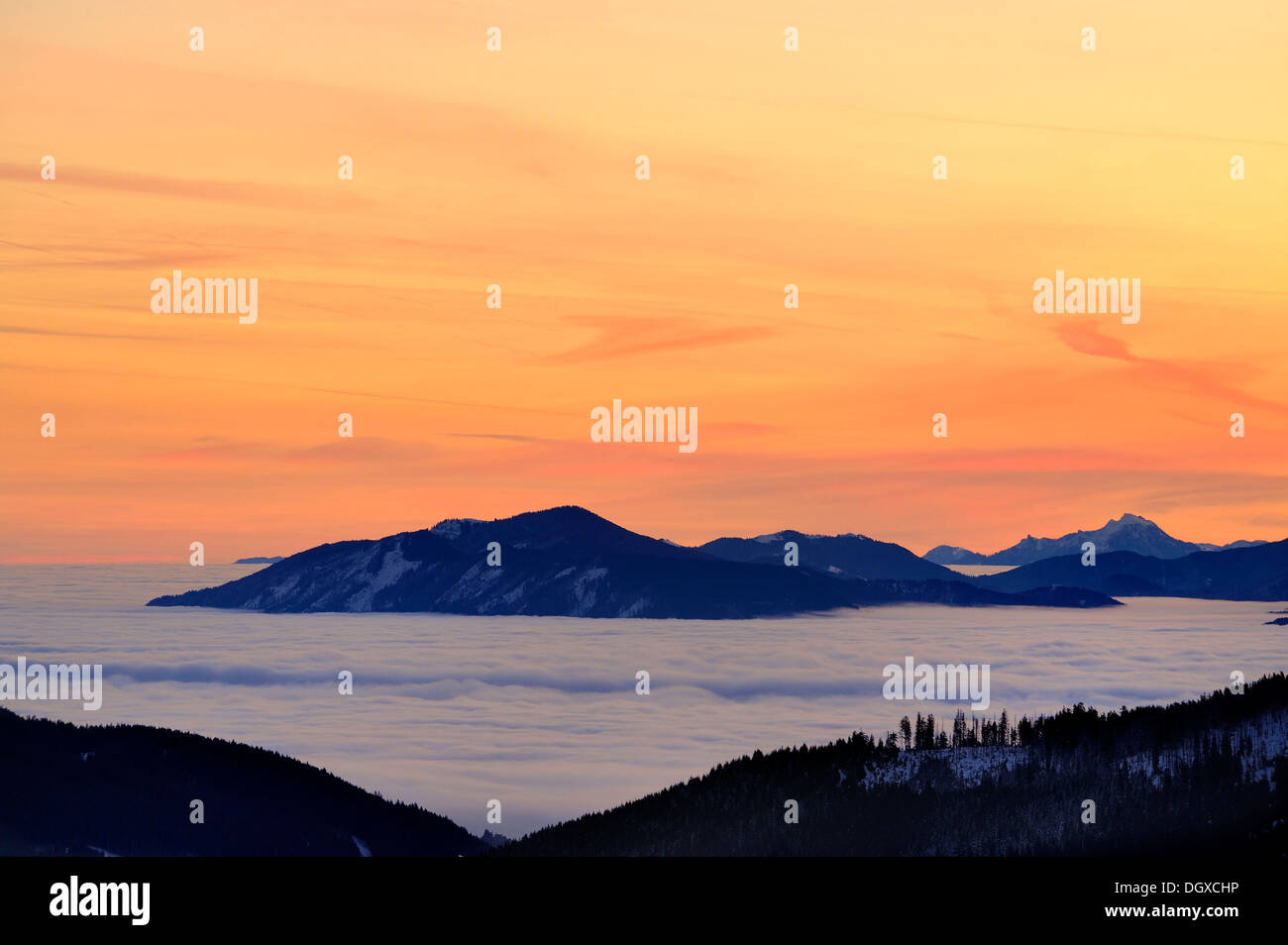 Sunrise sopra cime di montagna con la nebbia, a Sonthofen, Allgaeu, Bavaria Foto Stock