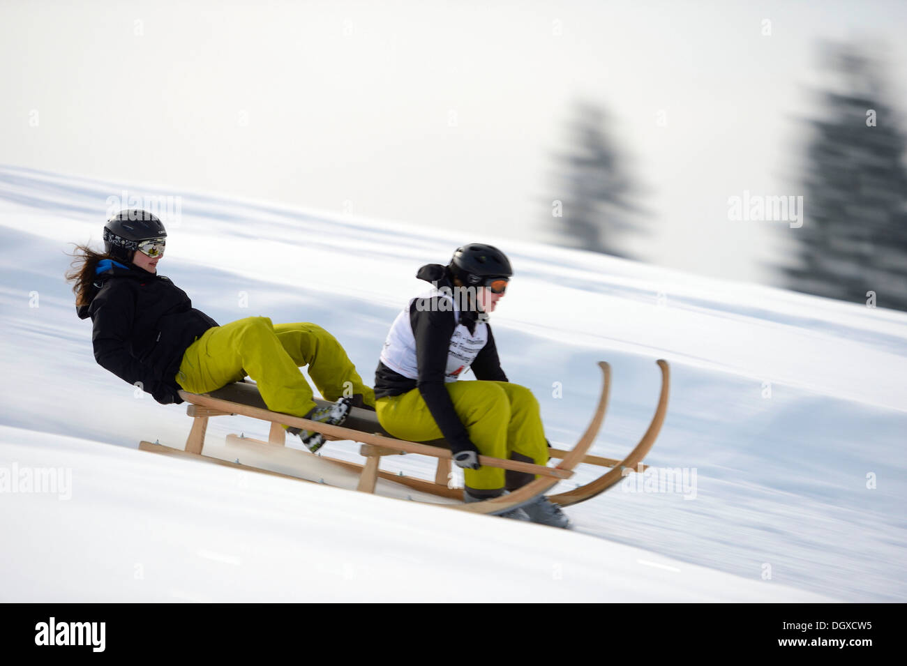 Avvisatore acustico slitta a piena velocità, Gunzesried, Oberallgäu, Baviera, Germania Foto Stock