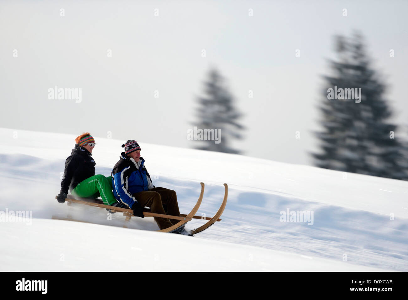 Avvisatore acustico slitta a piena velocità, Gunzesried, Oberallgäu, Baviera, Germania Foto Stock
