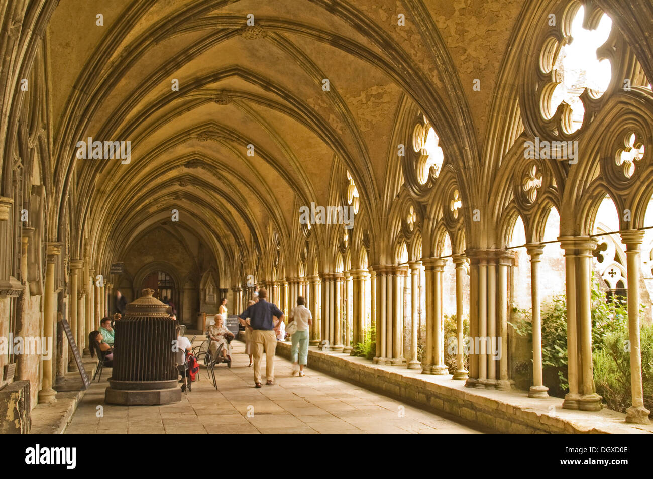 Chiostro della Cattedrale di Salisbury, Salisbury, Dorset, Sud Inghilterra England Foto Stock