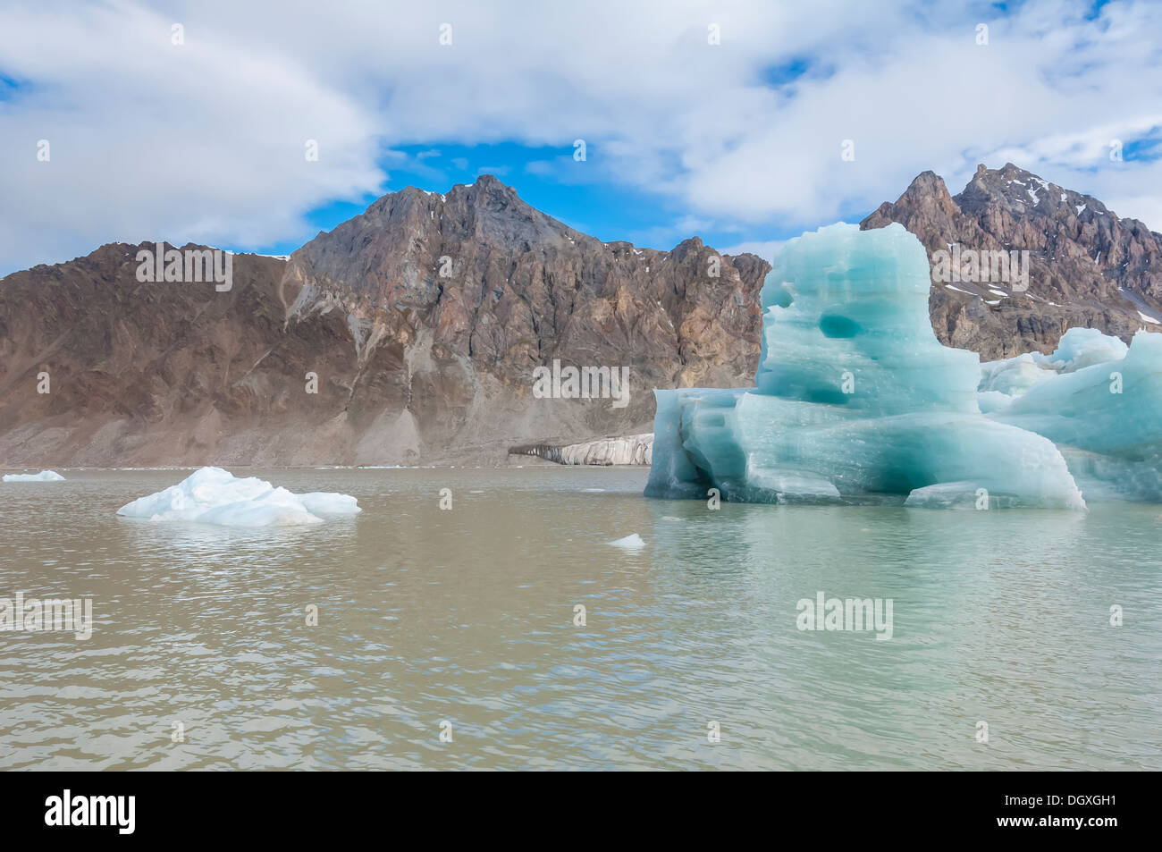 Kongsfjorden, Spitsbergen West Coast, arcipelago delle Svalbard, Norvegia Foto Stock
