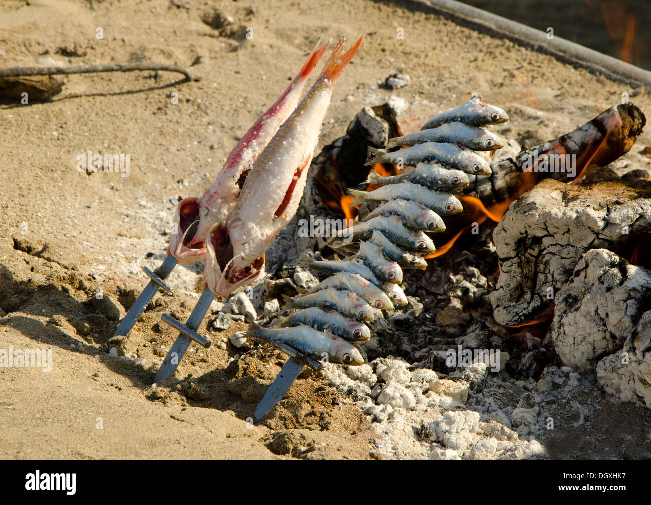 Grigliata di triglia di scoglio o triglia di fango e di sardine grigliate sul fuoco di legno aperto il barbecue nella Spagna meridionale sulla spiaggia. Foto Stock