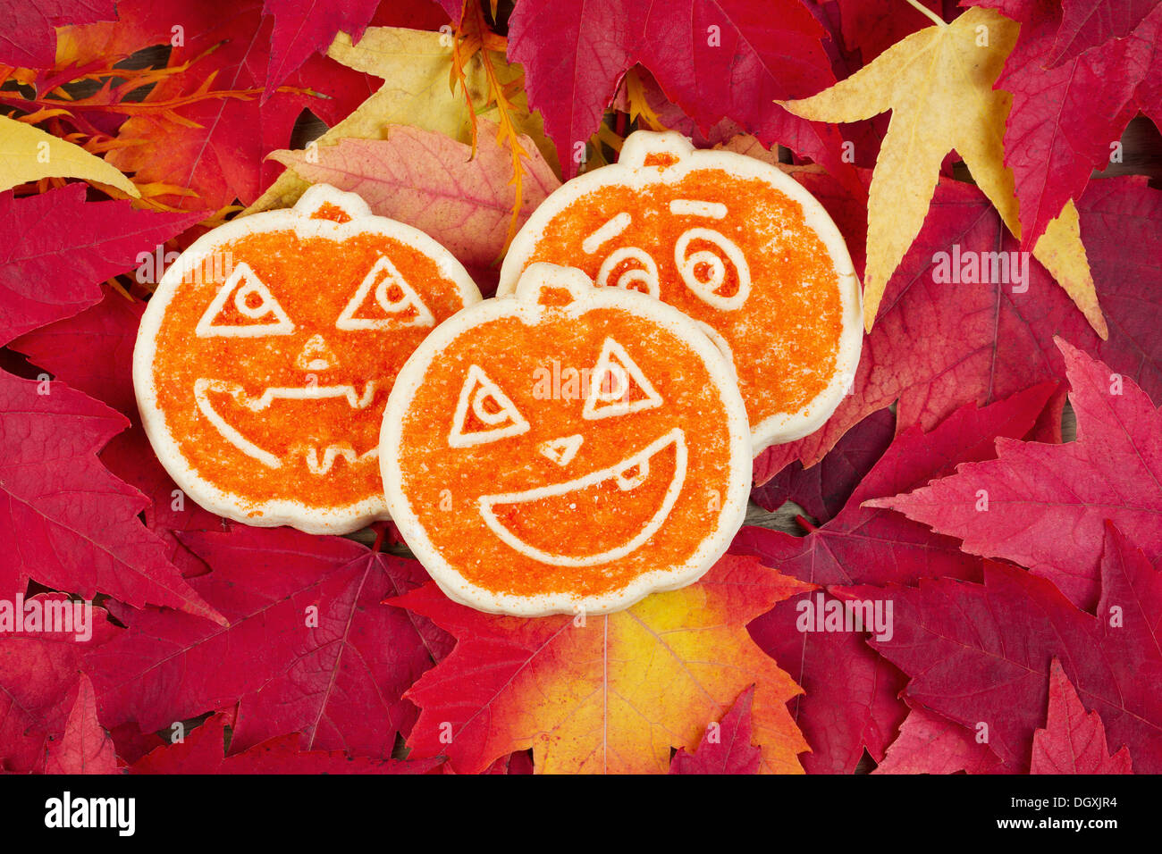 Foto orizzontale di tre zucchero stagionali cookies circondato da caduta foglie di acero Foto Stock