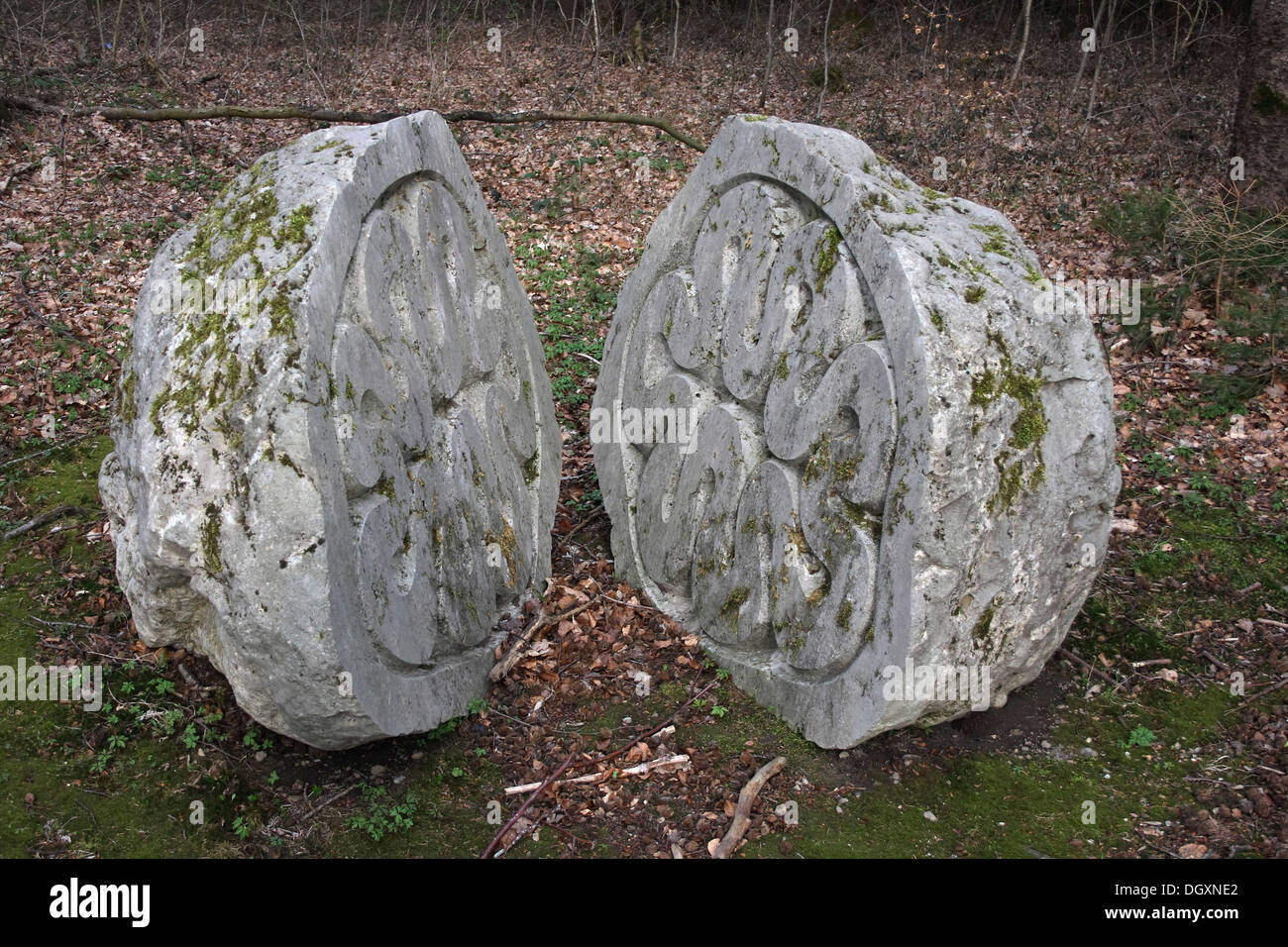 La scultura, Federstein, arte in pietra, opera dello scultore Pietro Randall-Page, scultura campo nei pressi di Oggelshausen, quartiere Biberach Foto Stock