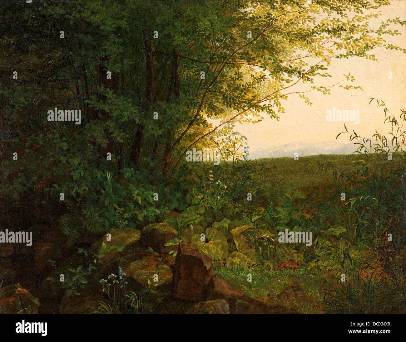 Agosto Heinrich - ai margini del bosco, 1820 Foto Stock