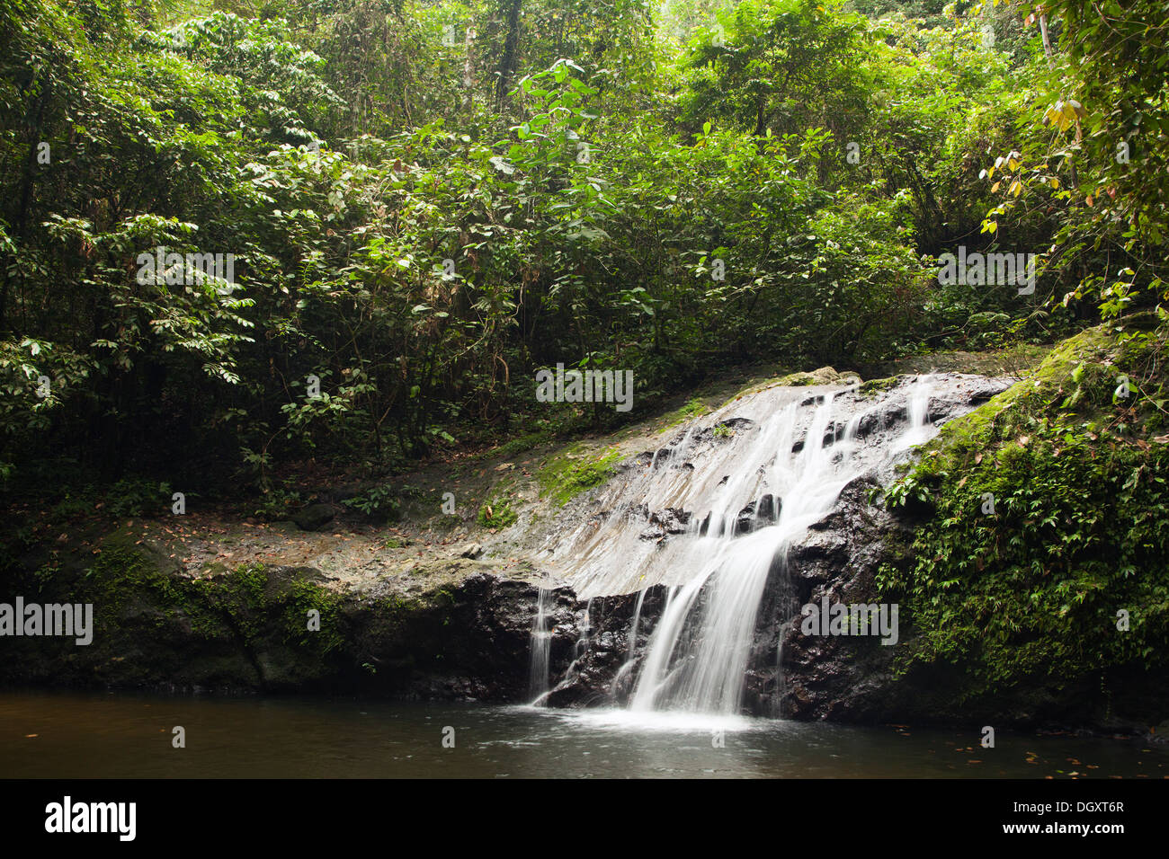 Cascata nella foresta pluviale tropicale di pianura del Borneo, Sabah, Borneo, Malesia Foto Stock