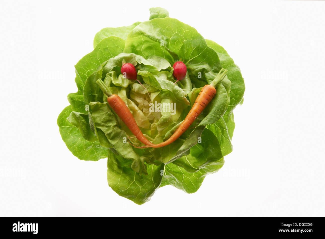 Lattughe (Lactuca sativa), con carota (Daucus carota) e Ravanelli (Raphanus sativus), la forma di un volto sorridente Foto Stock