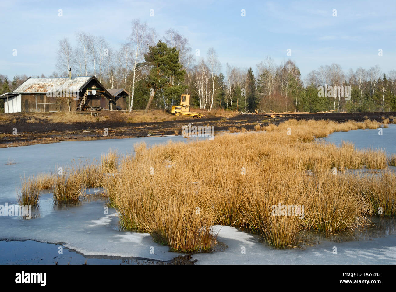 Congelati moor stagno con giunchi e un vecchio capannone, Nicklheim, Bavaria Foto Stock