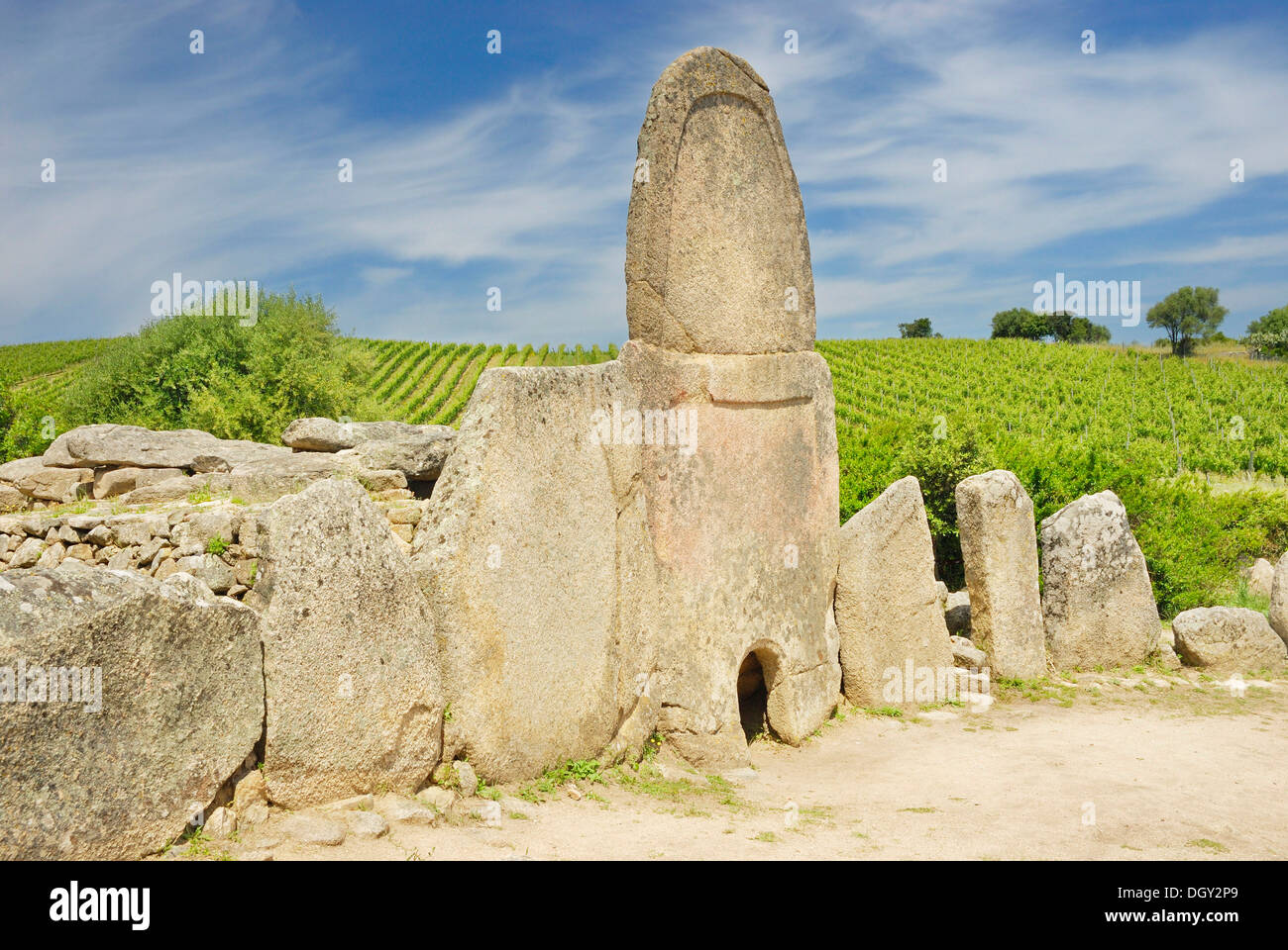 Preistoria tomba megalitica con stele di granito, circondato da vigneti, 1800 BC, Età del Bronzo, Tomba di giganti Coddu Vecchju Foto Stock