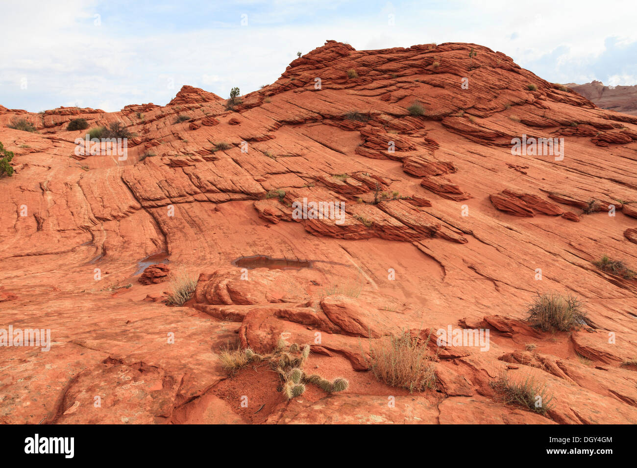 Paesaggio del deserto di pietra, Coyote Buttes North, Arizona, Stati Uniti d'America Foto Stock