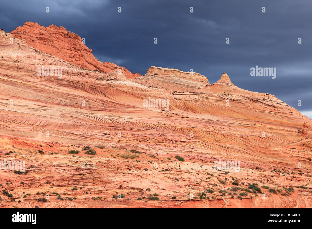 Paesaggio del deserto di pietra, Coyote Buttes North, Arizona, Stati Uniti d'America Foto Stock