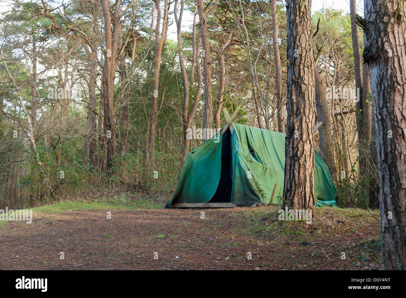Tela tenda rifugio nei boschi Foto Stock