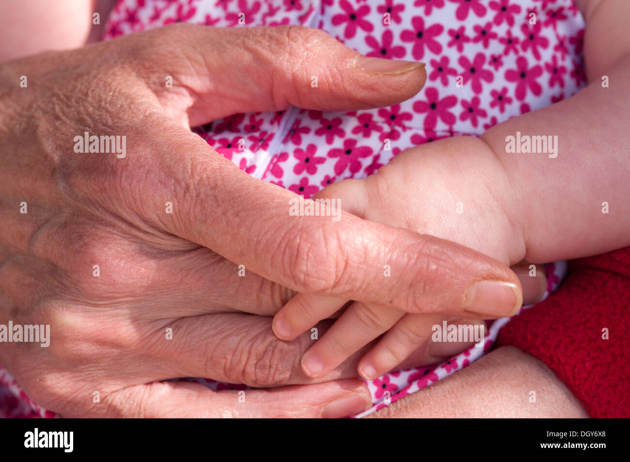 Stretta di mano matura tenendo una mano per neonati Foto Stock