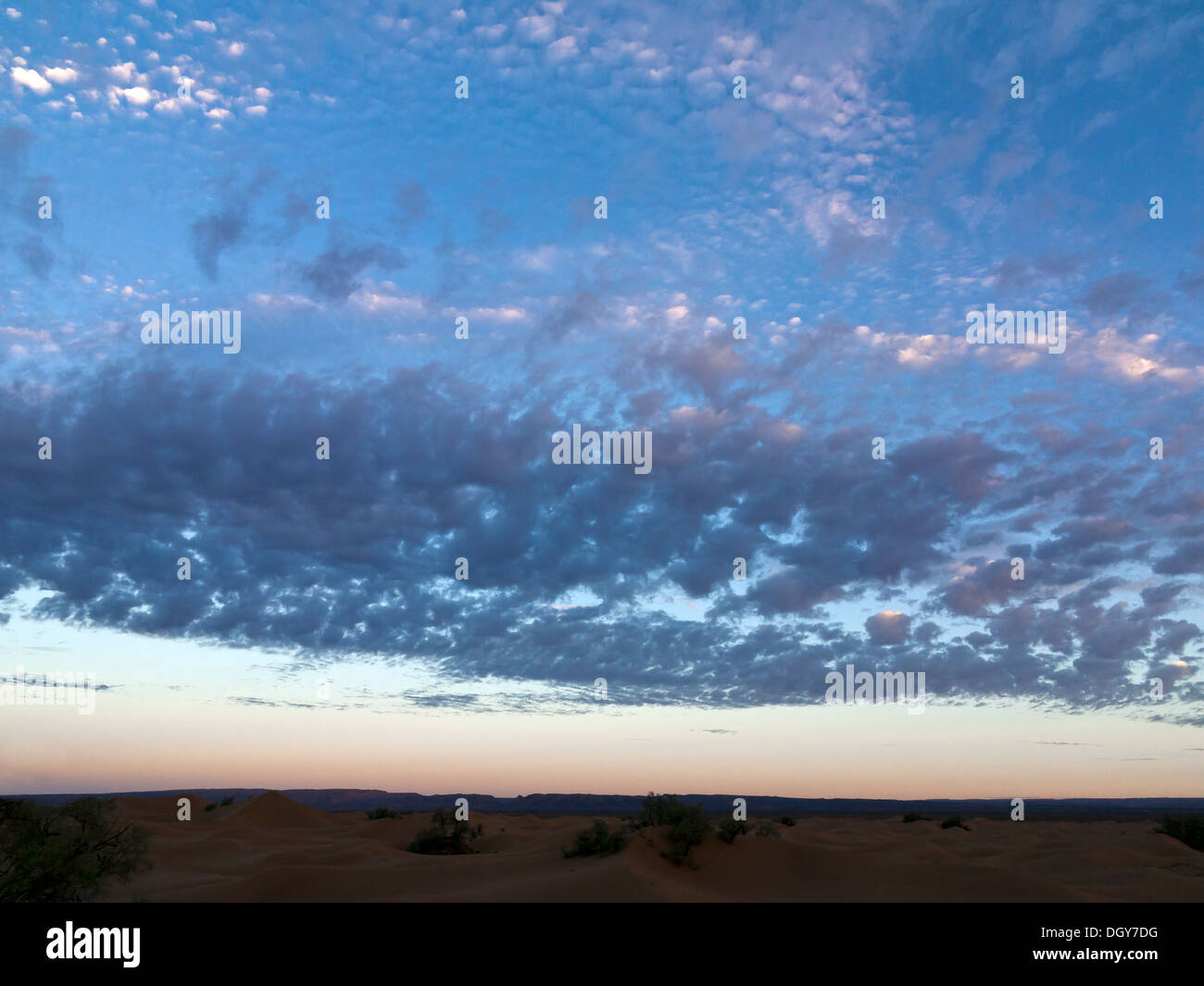 Pre-alba cielo sopra un orizzonte nel deserto con cloud a chiazze Marocco Foto Stock