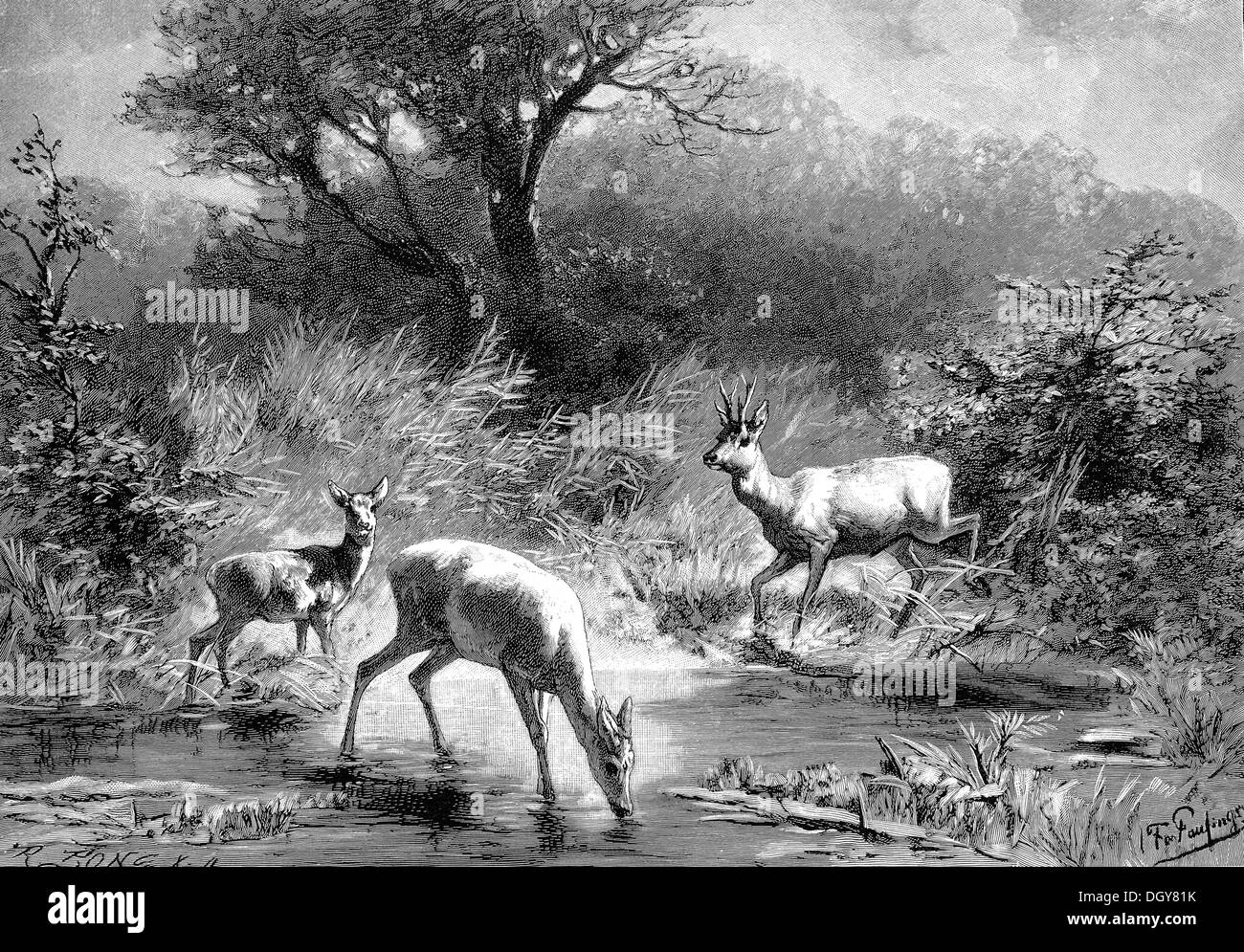 Presso il laghetto di foresta, illustrazione da annuario di arte moderna in Master xilografie, 1900 Foto Stock