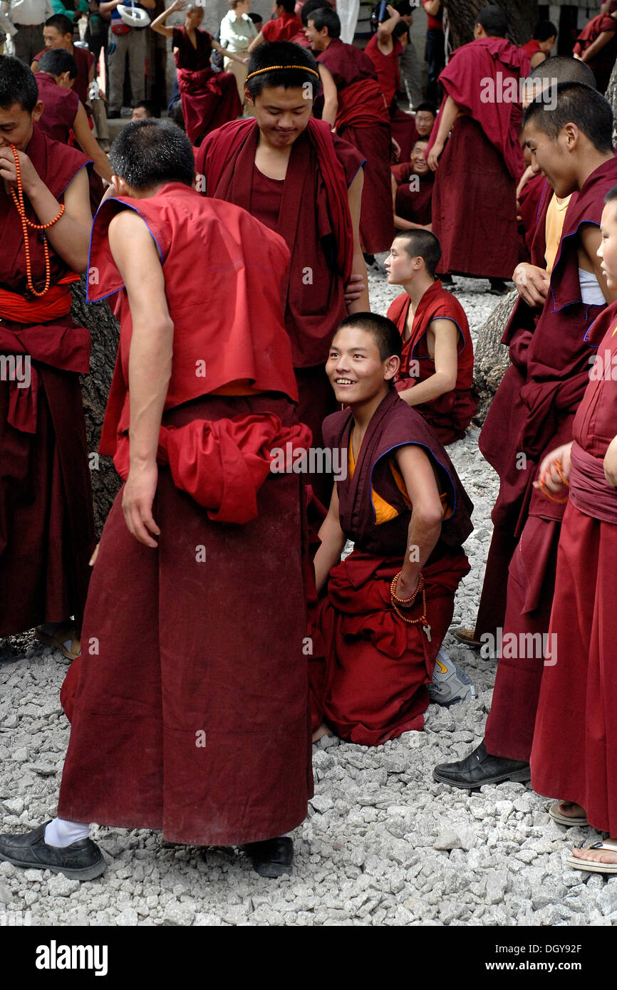 Deputazione, discutendo dei monaci buddisti nel cortile del monastero di Sera, Tibet, Cina e Asia Foto Stock