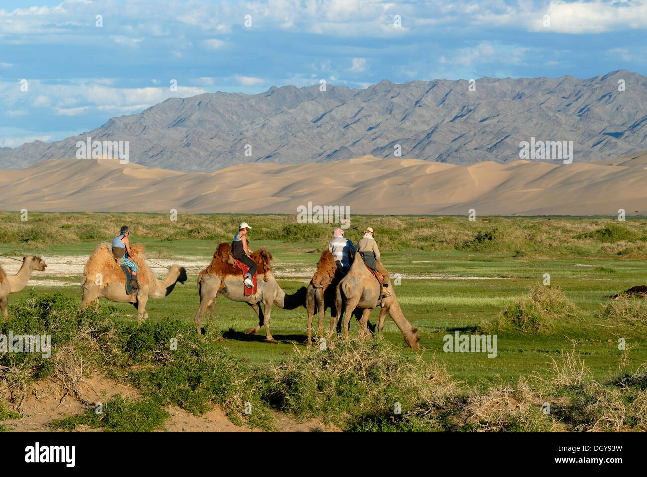 I turisti sui cammelli stop per acqua i cammelli a un piccolo fiume fresco che si snoda attraverso il verde lussureggiante paesaggio di erba in Foto Stock