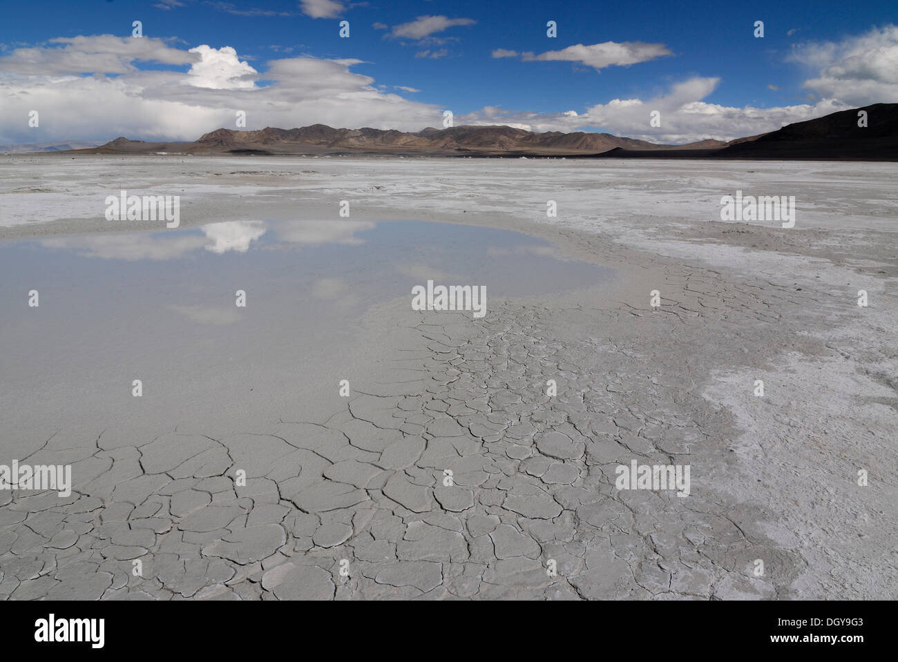 Salt Lake nel sale Drangyer campo, Drangyer Tsaka, Changtang altipiano, Tibet occidentale, Provincia di Ngari, Tibet, Cina e Asia Foto Stock