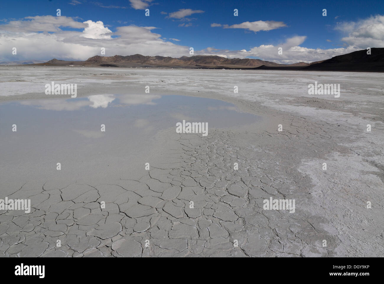 Salt Lake nel sale Drangyer campo, Drangyer Tsaka, nel Changtang altipiano, Tibet occidentale, Provincia di Ngari, Tibet, Cina Foto Stock