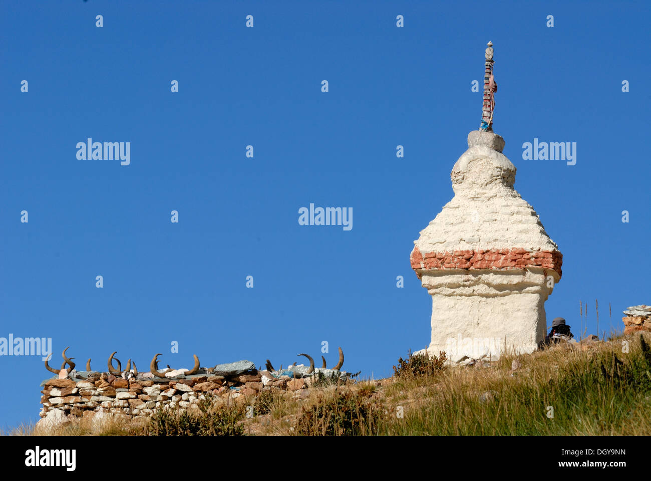 Yak teschi, Mani pietre e chorten di Chiu Gompa monastero, Tibet occidentale, Provincia di Ngari, Tibet, Cina e Asia Foto Stock