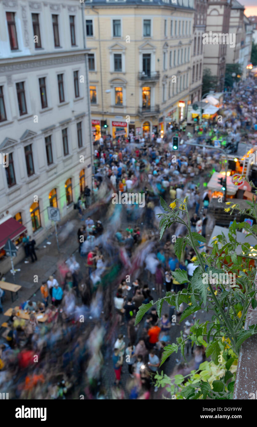 Le piante di pomodoro sul balcone oltre feste, balli persone, quartiere più grande festival di Dresda, da sopra Foto Stock