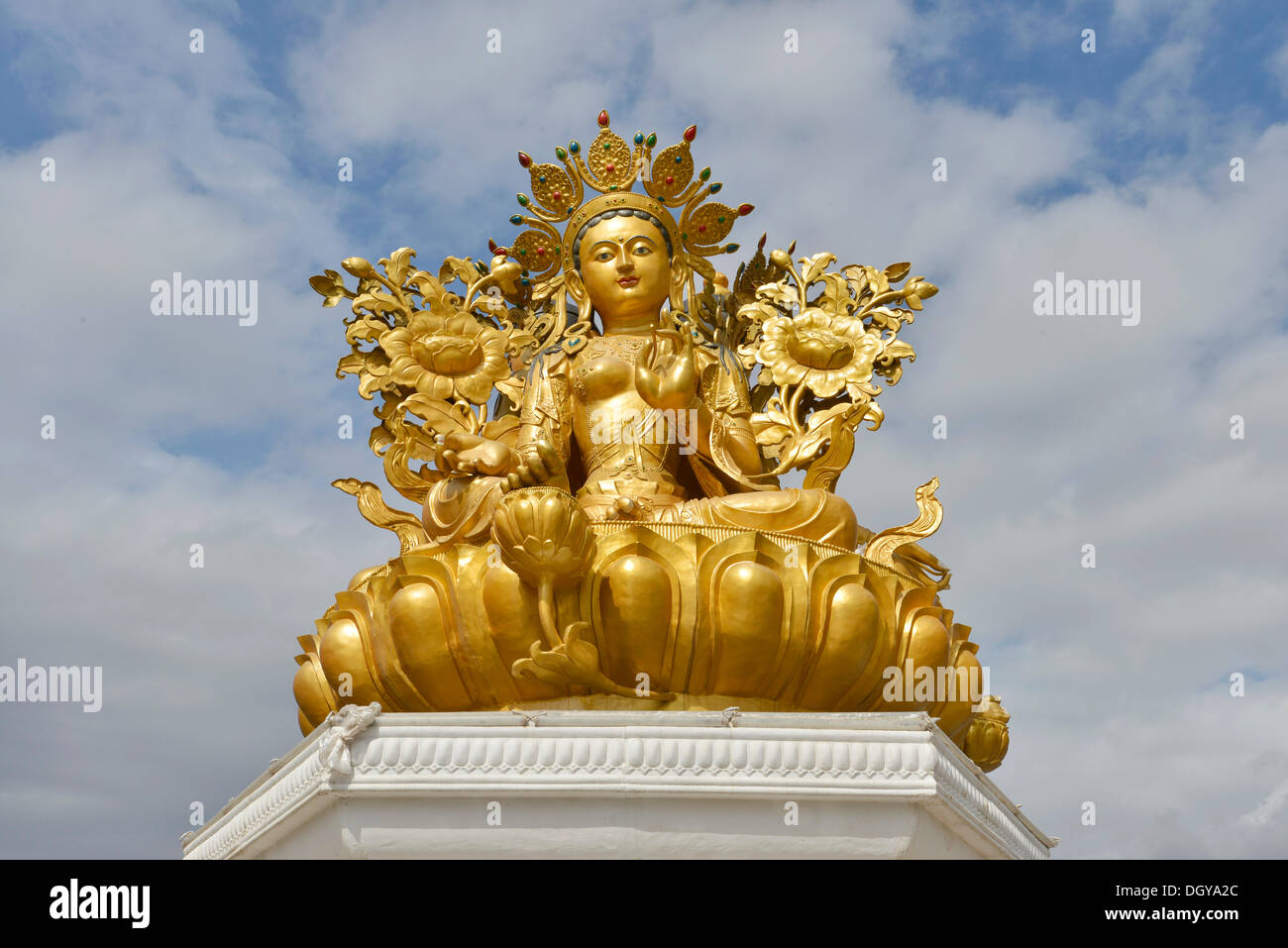 Buddismo tibetano, nuovo grande statua del Buddha presso il monastero, Rongpo Gonchen Gompa, Tongren, Repkong, Qinghai, precedentemente Amdo Foto Stock