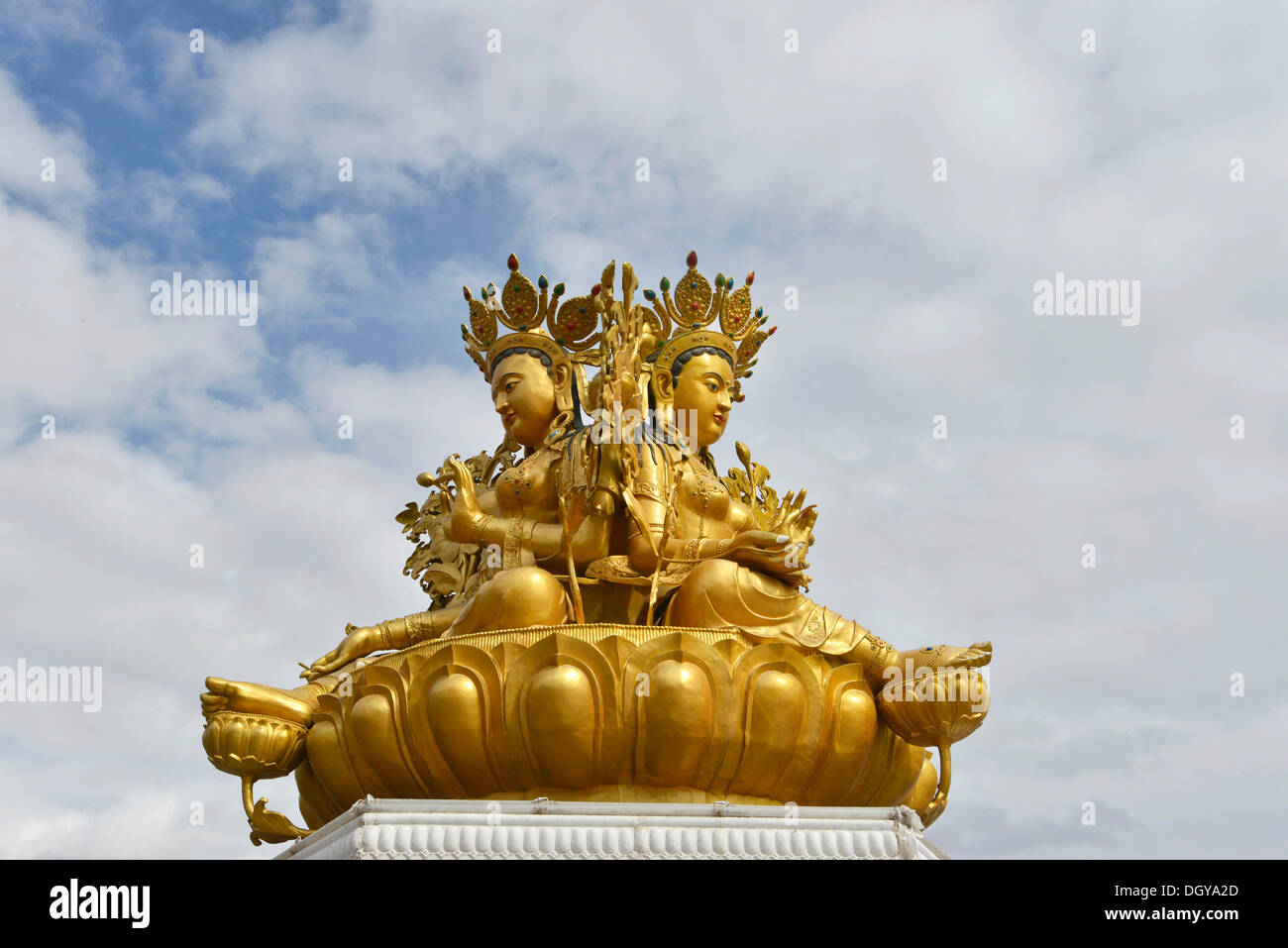 Buddismo tibetano, nuovo grande statua del Buddha presso il monastero, Rongpo Gonchen Gompa, Tongren, Repkong, Qinghai, precedentemente Amdo Foto Stock