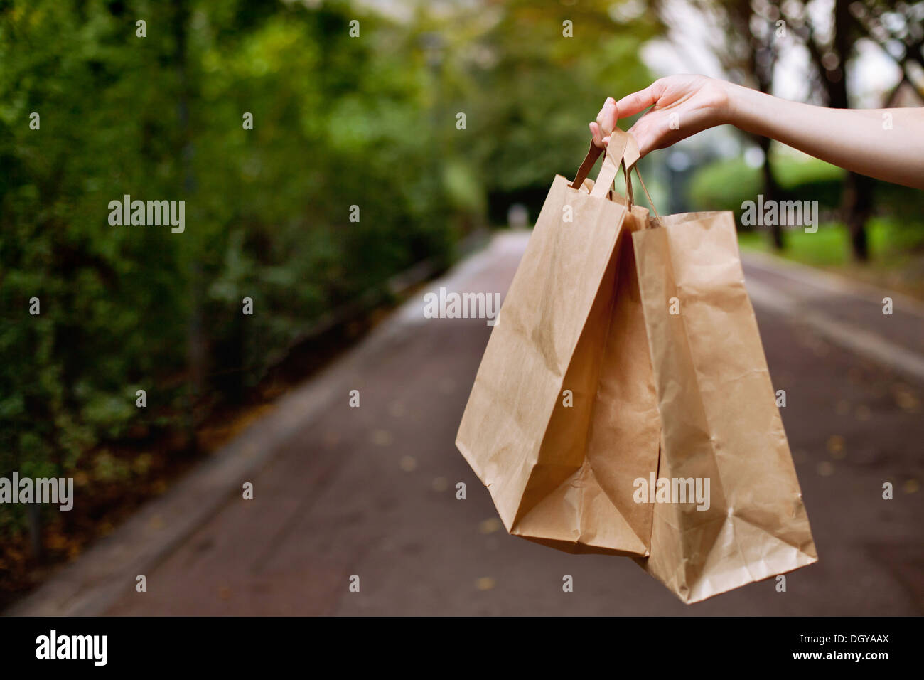 Le borse della spesa in mano Foto Stock