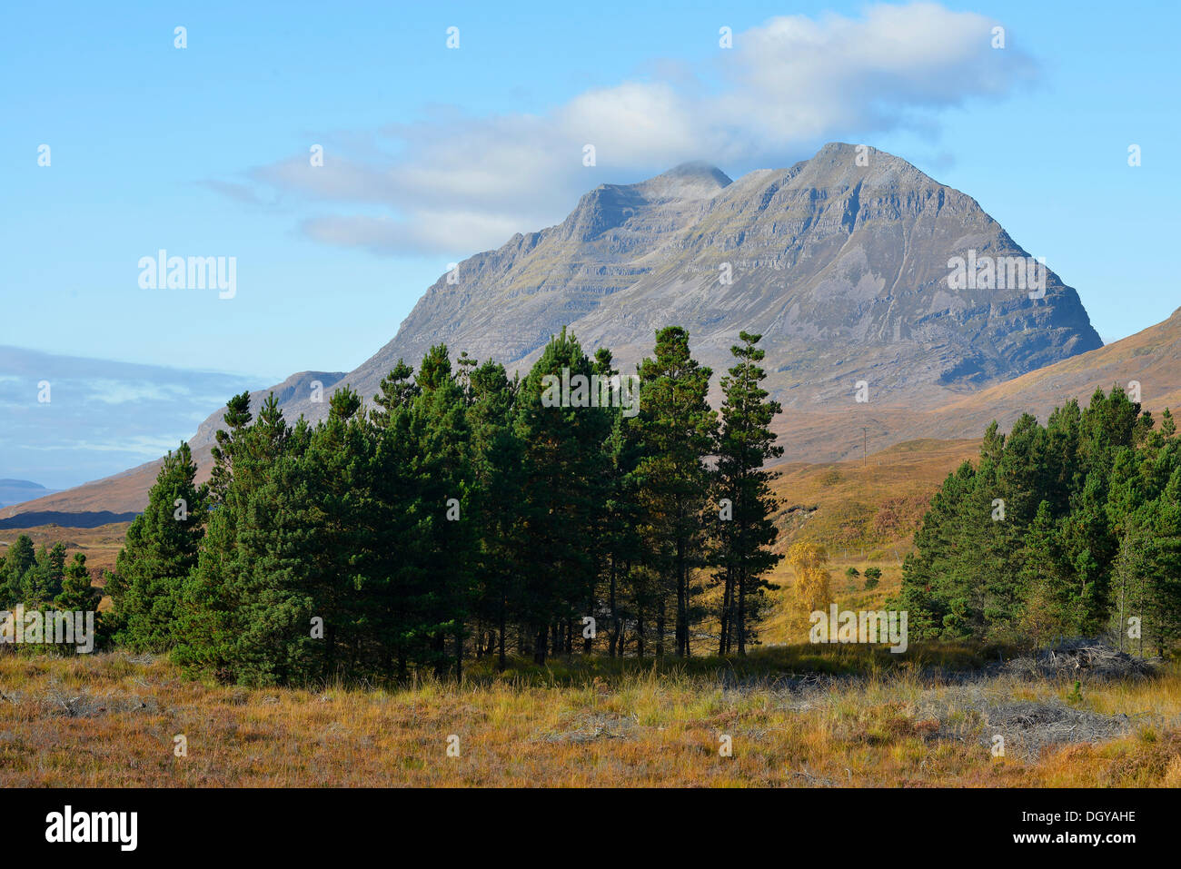 Liathach, Glen Torridon, Beinn Eighe Riserva Naturale Nazionale, SNH, Kinlochewe, Highlands scozzesi, Wester Ross, Scozia Foto Stock