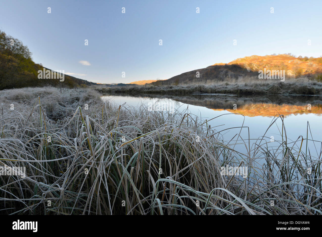 Icy Brinata mattutina, Highlands scozzesi, Loch Dorchardt, Scotland, Regno Unito, Europa Foto Stock