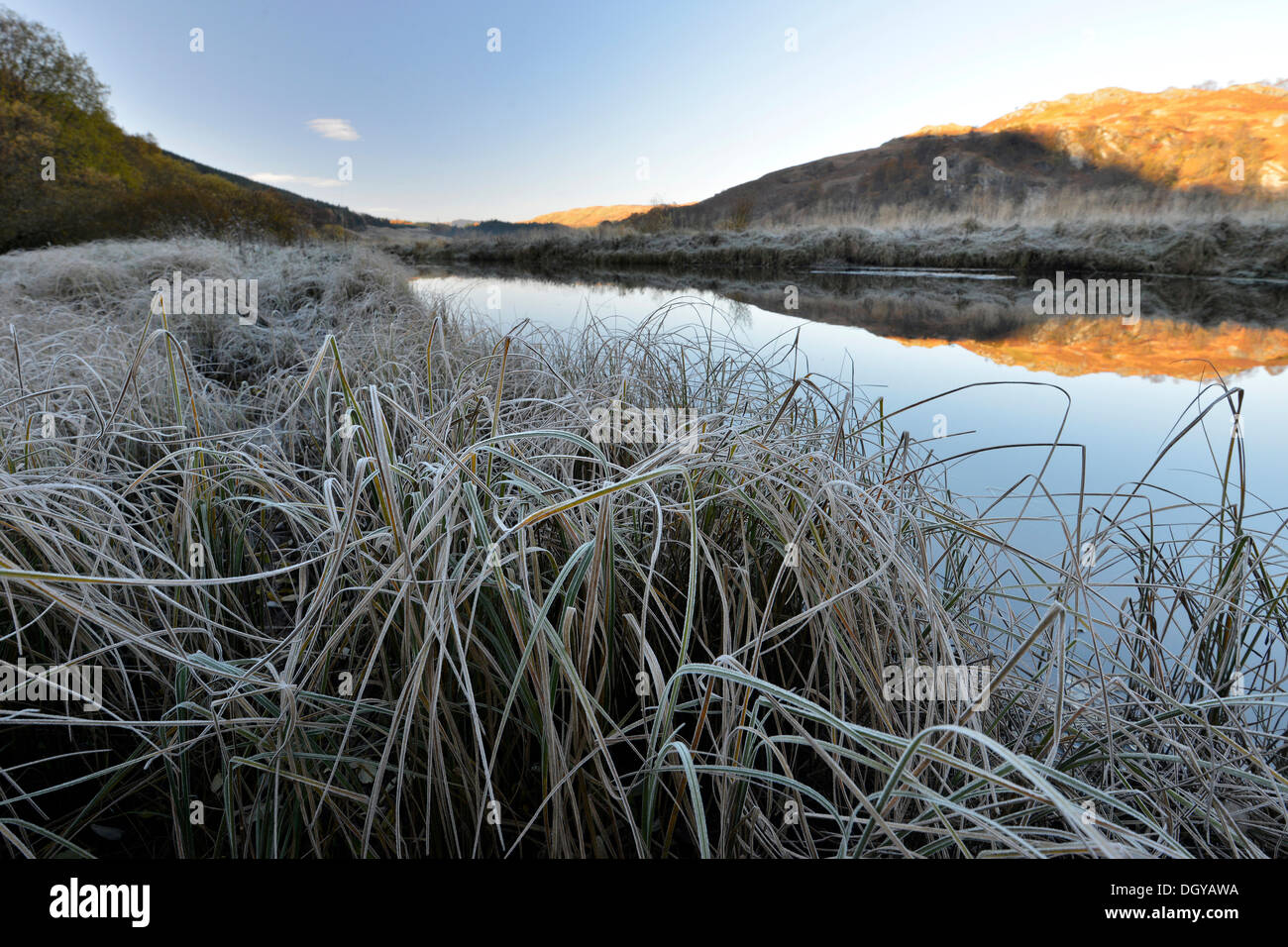 La mattina presto trasformata per forte gradiente frost, Highlands scozzesi, Loch Dorchardt, Scotland, Regno Unito, Europa Foto Stock