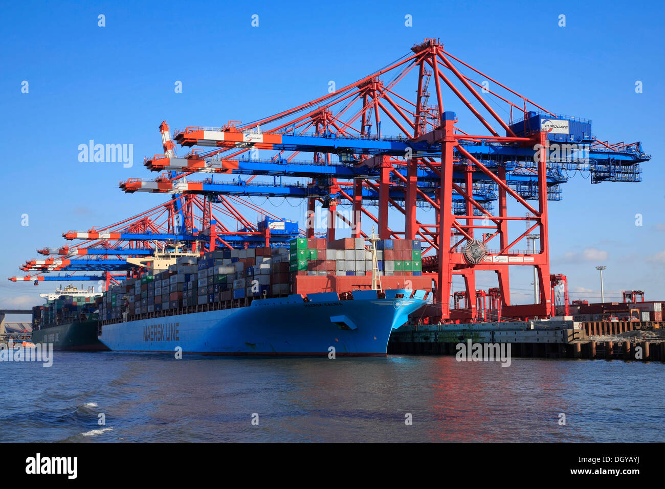 Contenitore grande nave Maersk Line, Maersk Salina essendo caricati, Eurogate Container Terminal, contenitore di ponti, gru di contenitore Foto Stock
