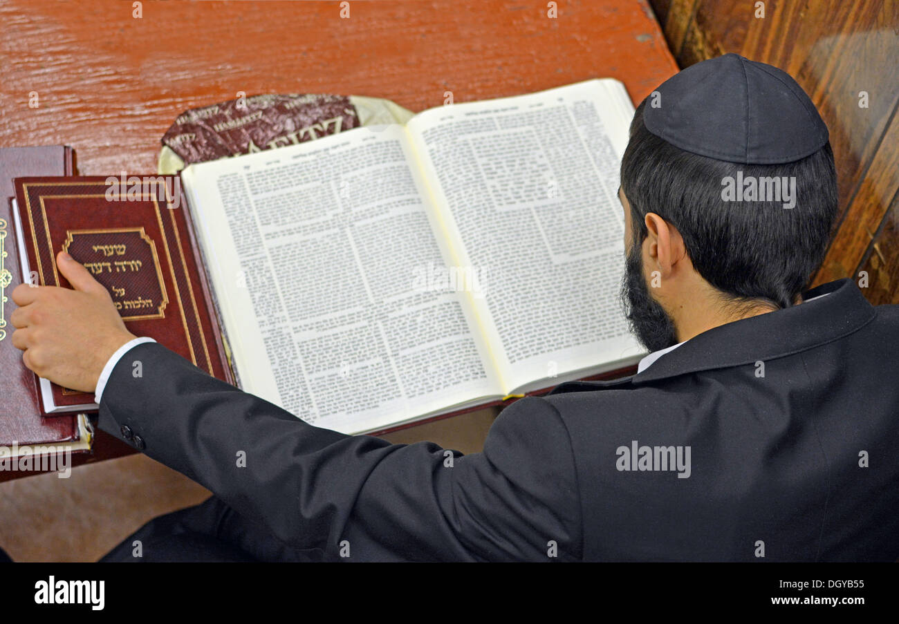 Studente Chassidico che studia Talmud presso la sede centrale e la sinagoga di Lubavitch al 770 Eastern Parkway a Brooklyn, New York. Foto Stock