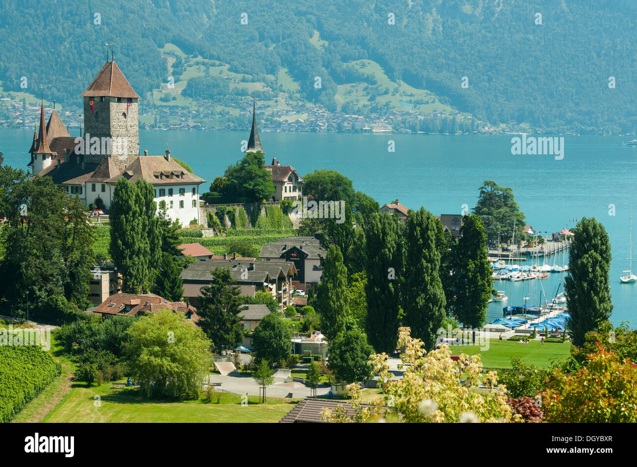 Il castello di Spiez e del Lago di Thun, Svizzera Foto Stock
