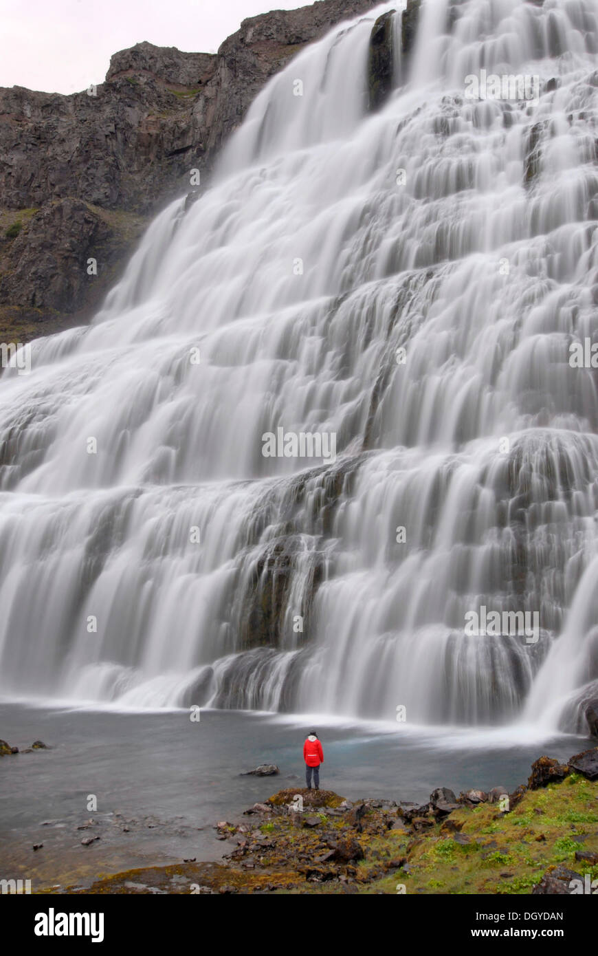 Donna in piedi di fronte alla Dynjandifoss o Fjallfoss cascata, cascata più grande nella zona ovest di fiordi, Northwest Islanda Foto Stock