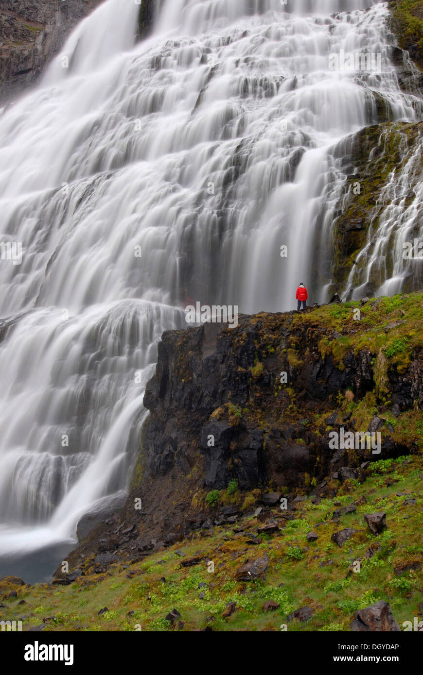 Donna in piedi di fronte alla Dynjandifoss o Fjallfoss cascata, cascata più grande nella zona ovest di fiordi, Northwest Islanda Foto Stock