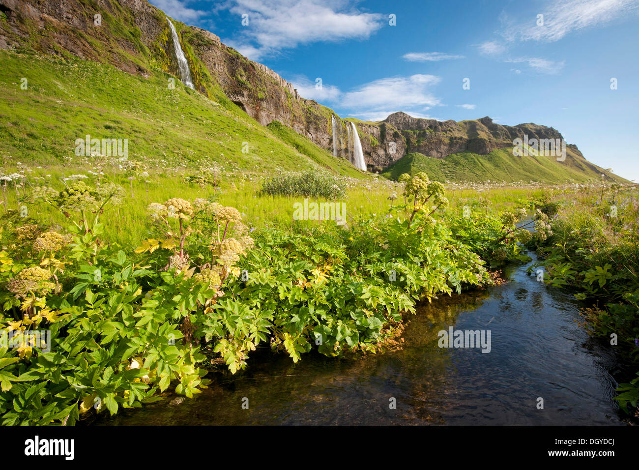 Seljalandsfoss cascata, a sud dell'Islanda, Islanda, Europa Foto Stock