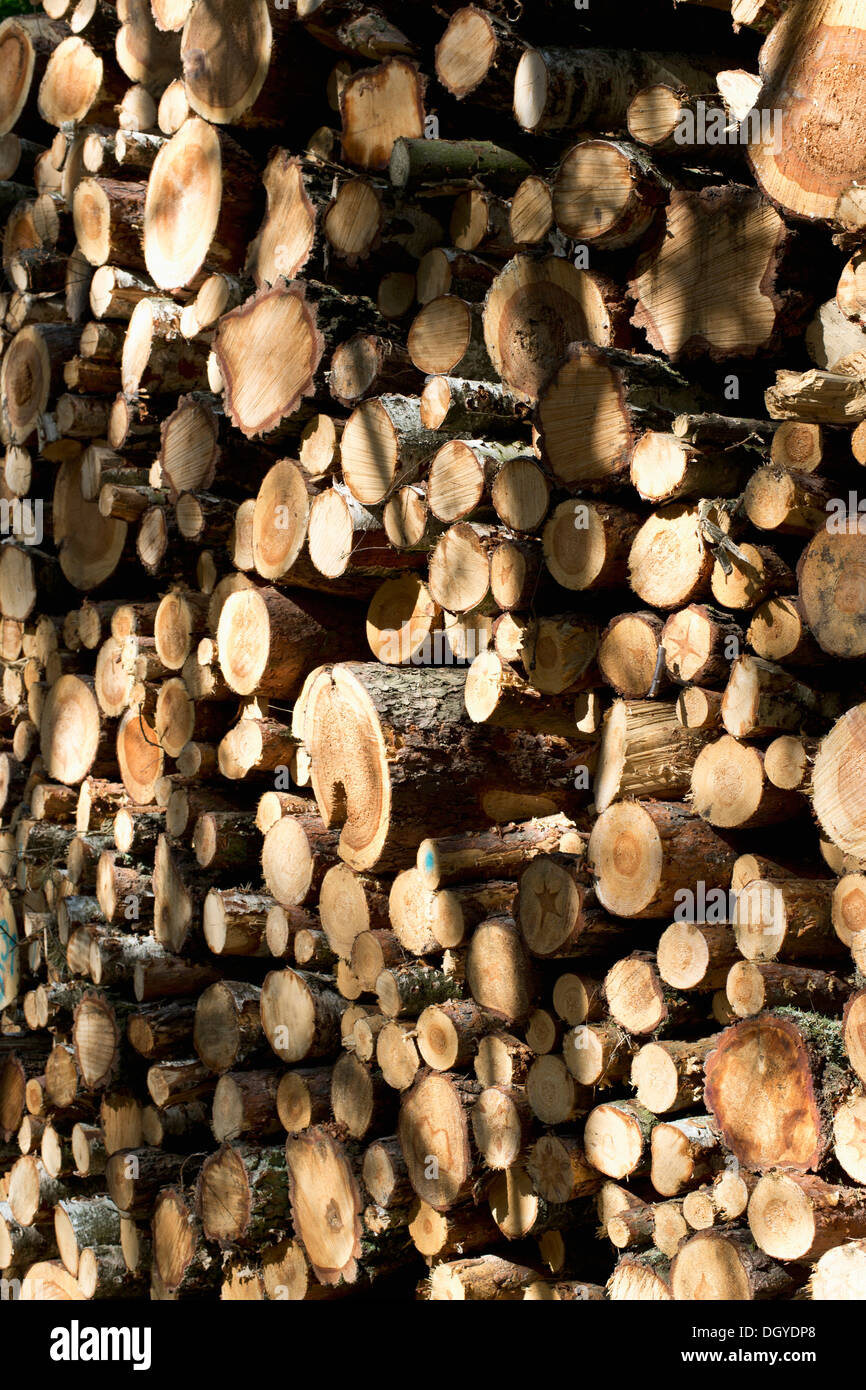 Una catasta di legna da ardere, close-up, full frame Foto Stock