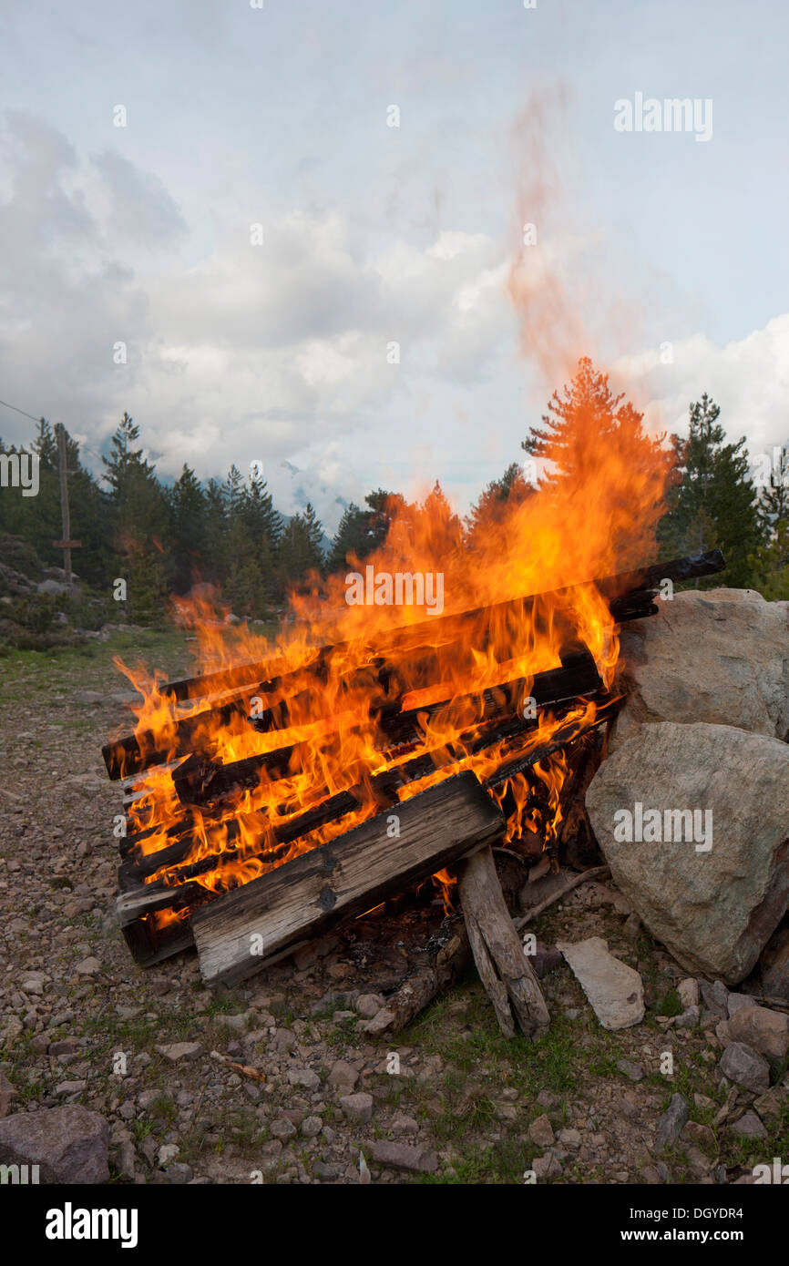 Tavole di legno brucia in un falò Foto Stock