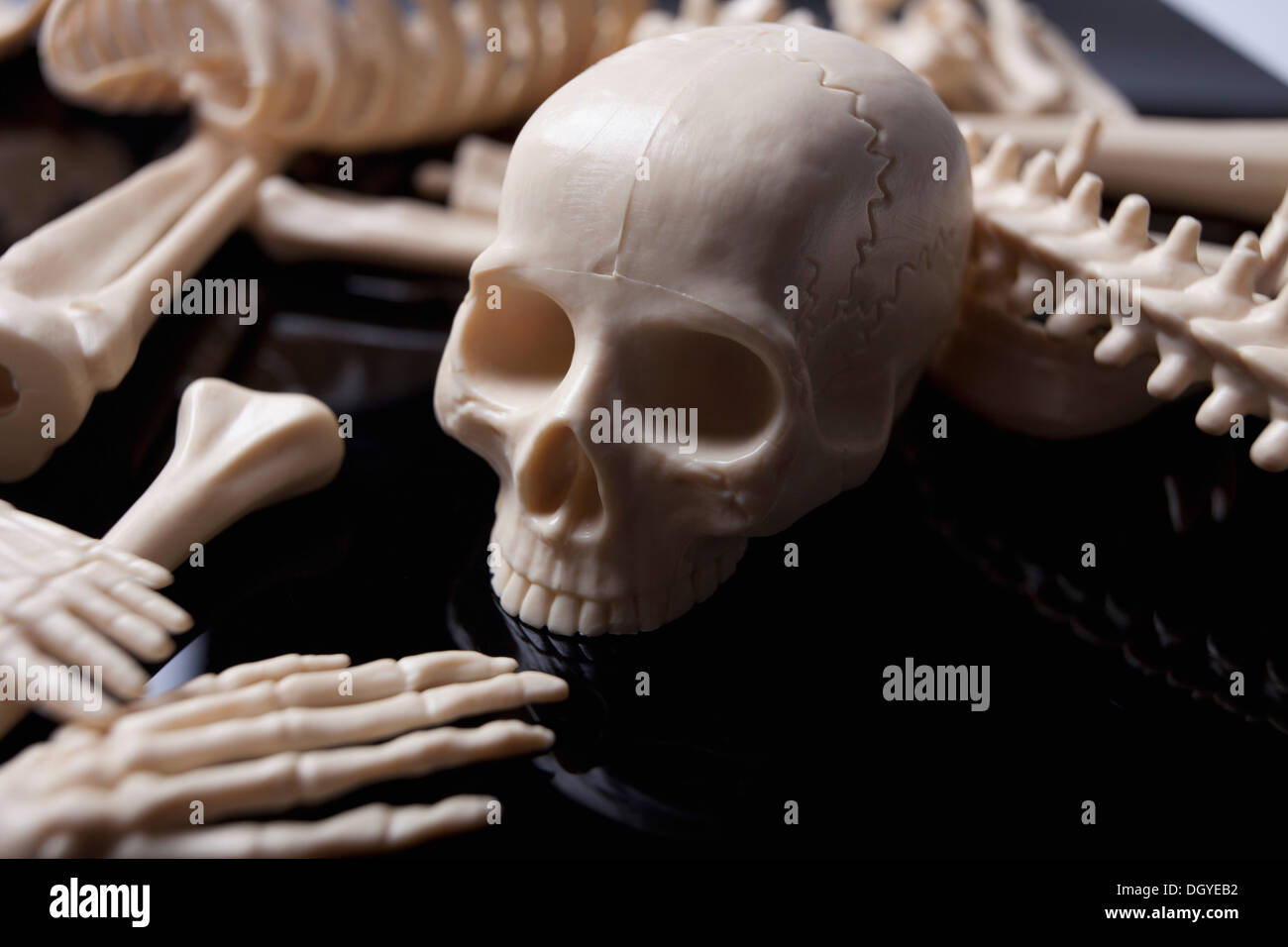Cranio giocattolo tra giocattolo sparsi di scheletro di parti del corpo Foto Stock