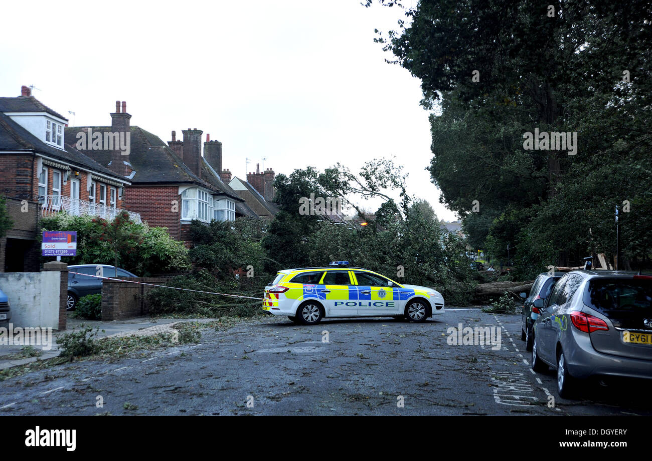 Brighton SUSSEX REGNO UNITO 28 Ottobre 2013 - un albero caduto in Nizells Avenue Hove che ha danneggiato le auto e le case di questa mattina come tempeste martoriata costa meridionale della Gran Bretagna. La tempesta, denominato St Jude, ha portato la windiest meteo a colpire il Regno Unito dal 1987. Foto Stock